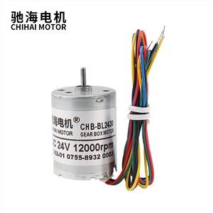 DC12V 6098RPM 24mm DC Tanpa Sikat 2430 Motor